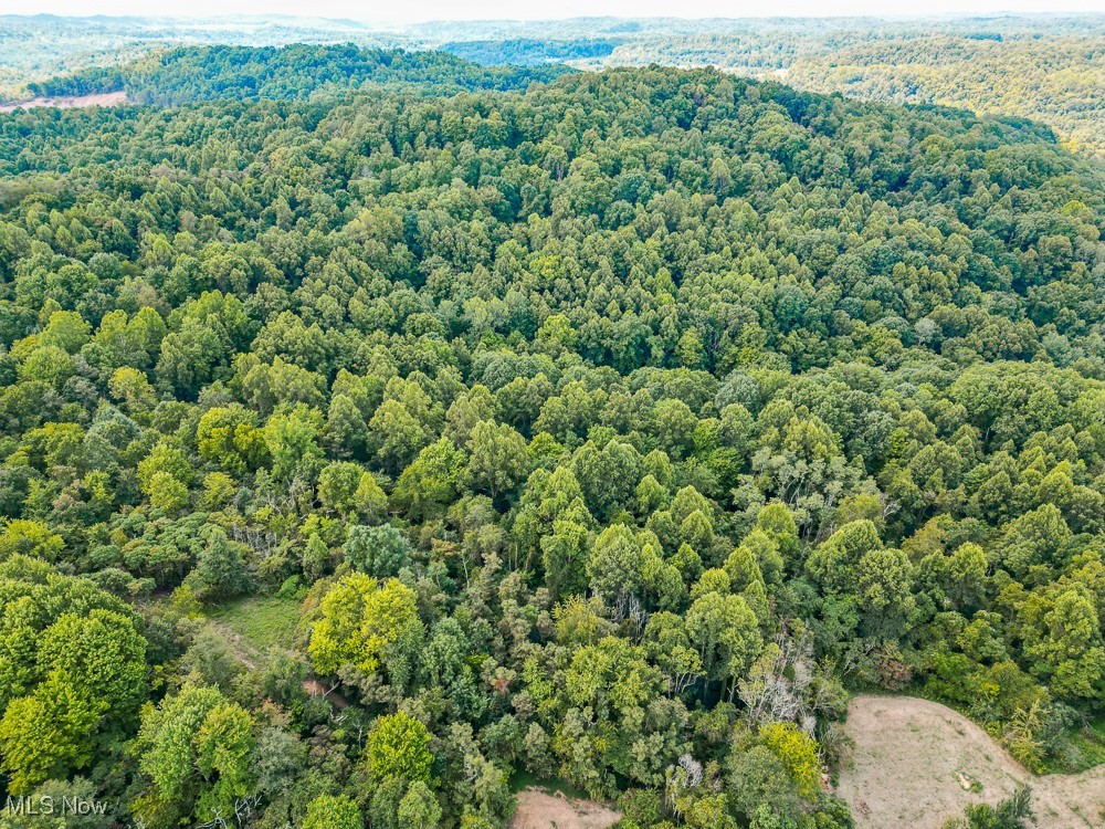 Sheepskin Ridge Road, Lower Salem, Ohio image 22