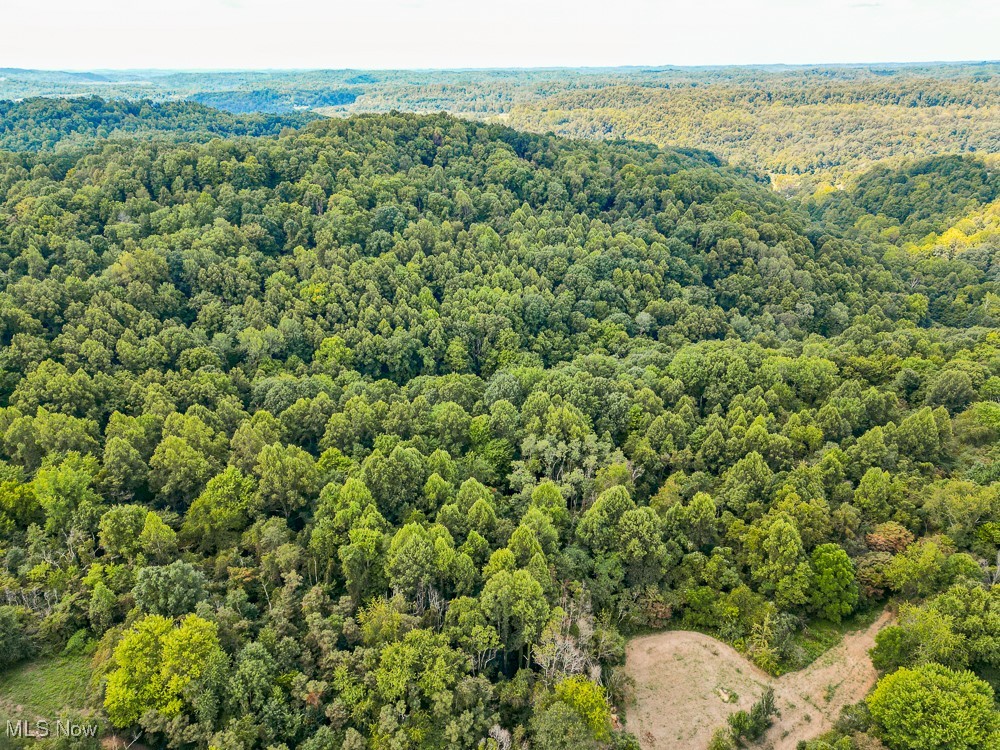 Sheepskin Ridge Road, Lower Salem, Ohio image 23