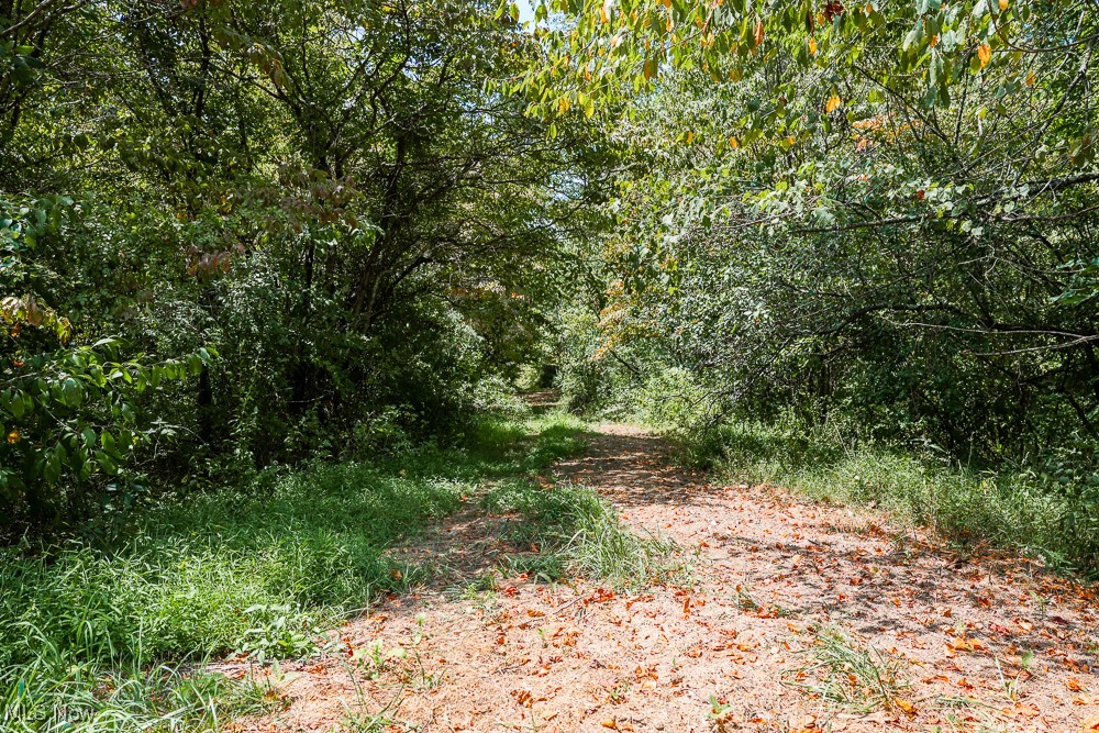 Sheepskin Ridge Road, Lower Salem, Ohio image 13