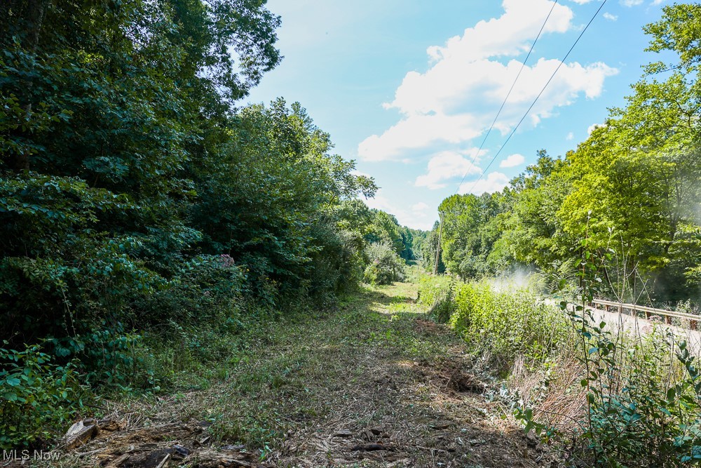 Sheepskin Ridge Road, Lower Salem, Ohio image 5