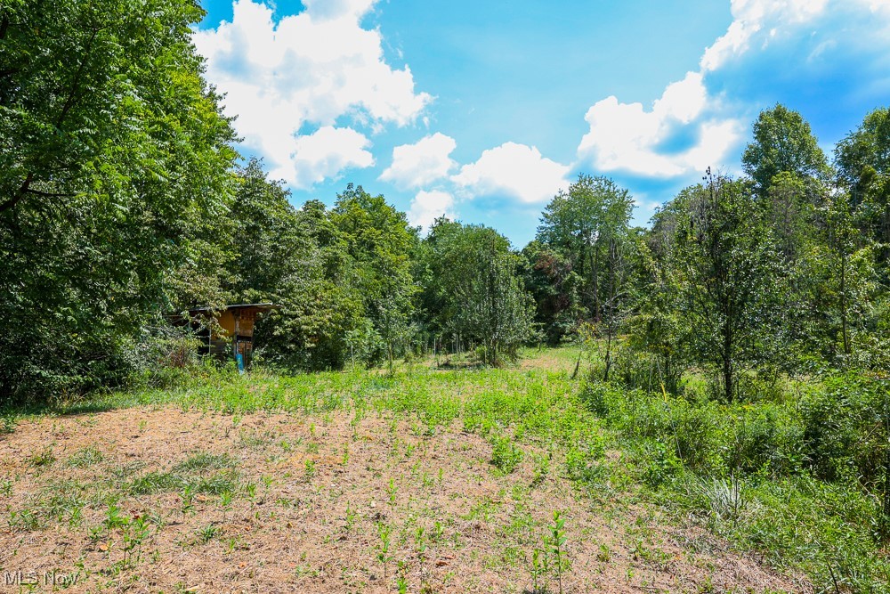 Sheepskin Ridge Road, Lower Salem, Ohio image 10