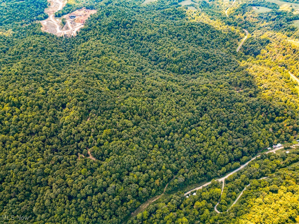 Sheepskin Ridge Road, Lower Salem, Ohio image 16