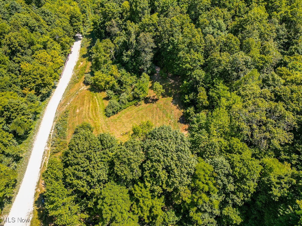 Sheepskin Ridge Road, Lower Salem, Ohio image 4