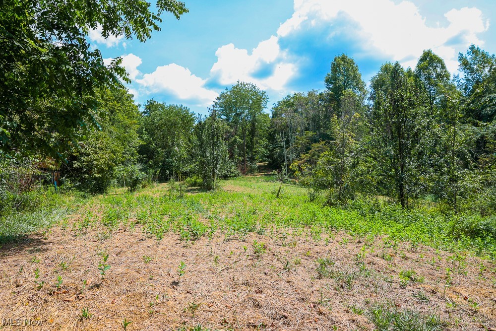 Sheepskin Ridge Road, Lower Salem, Ohio image 11