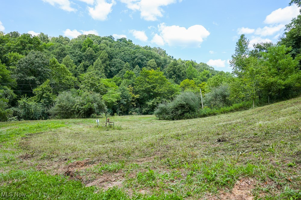 Sheepskin Ridge Road, Lower Salem, Ohio image 8