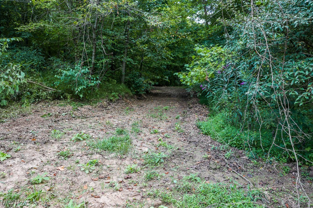 Sheepskin Ridge Road, Lower Salem, Ohio image 9