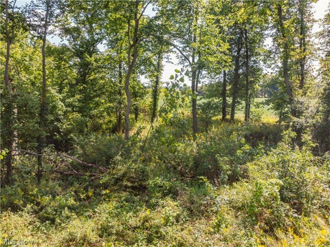 Vacant Land For Sale - 12472 Gearhart Rd<br/> Burbank, OH 44214