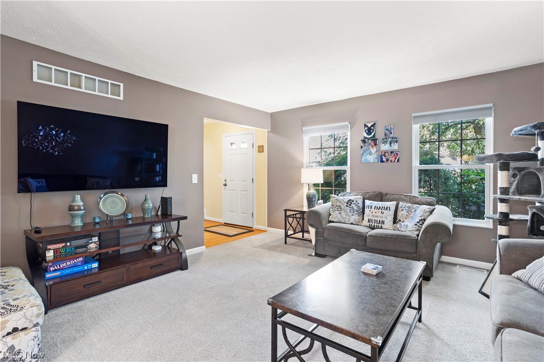 Royal Rdg Lane Condo - Residential