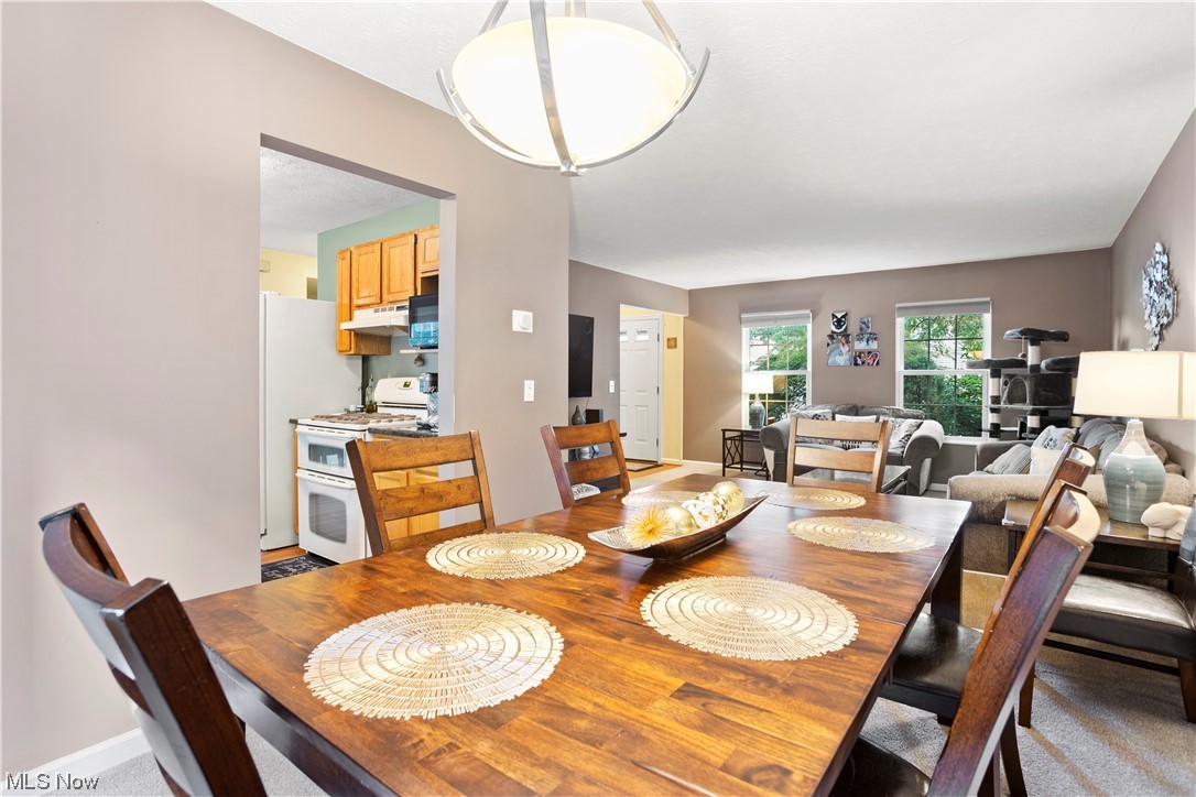 Royal Rdg Lane Condo - Residential