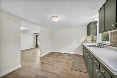Tiny photo for 1205 Elm Street, Painesville, OH 44077 (MLS # 5257256)