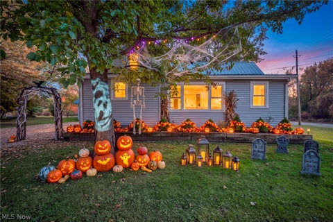 Tiny photo for 1205 Elm Street, Painesville, OH 44077 (MLS # 5257256)