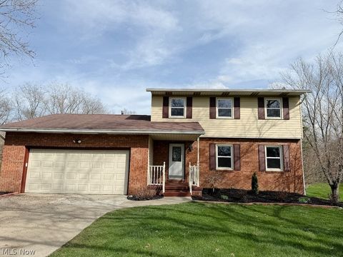 455 Barrenwood Drive Wadsworth OH 44281