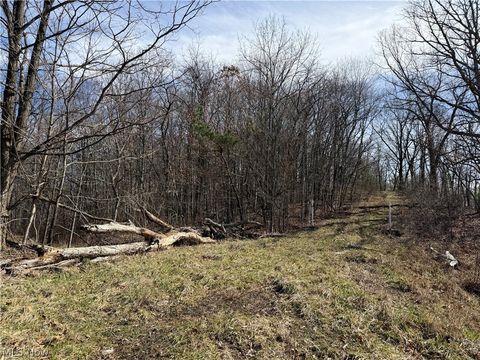 Vacant Land For Sale - 31100 Moravian Trail<br/> Harrison County, Tippecanoe, OH 44699