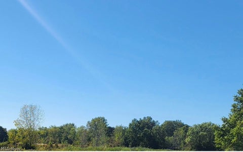 Vacant Land For Sale - V/L Lorain Avenue<br/> Lorain, OH 44055