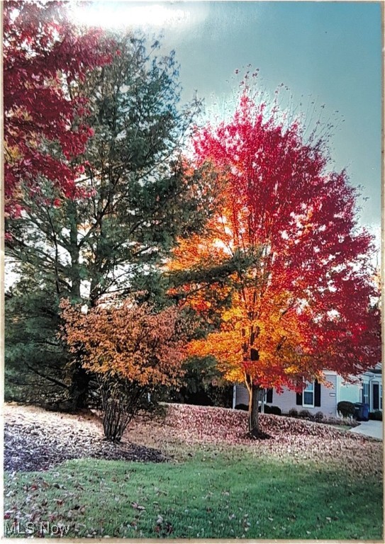 Arbors Of Bridgewater Crossing Sub Ph 1 - Residential