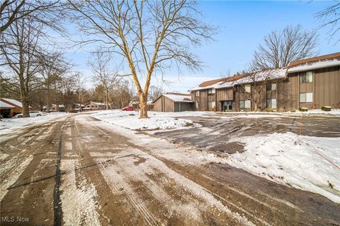 Tiny photo for 7465 Millrace Lane #103, Sagamore Hills, OH 44067 (MLS # 5179346)