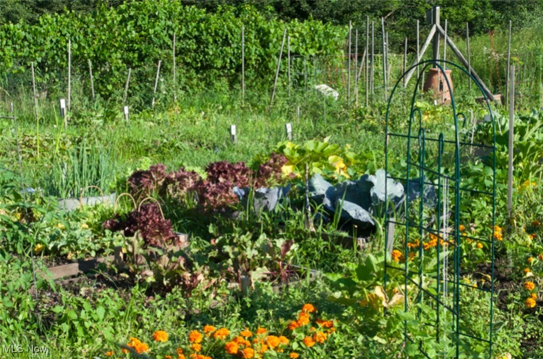 Greenwood Village Condo - Residential