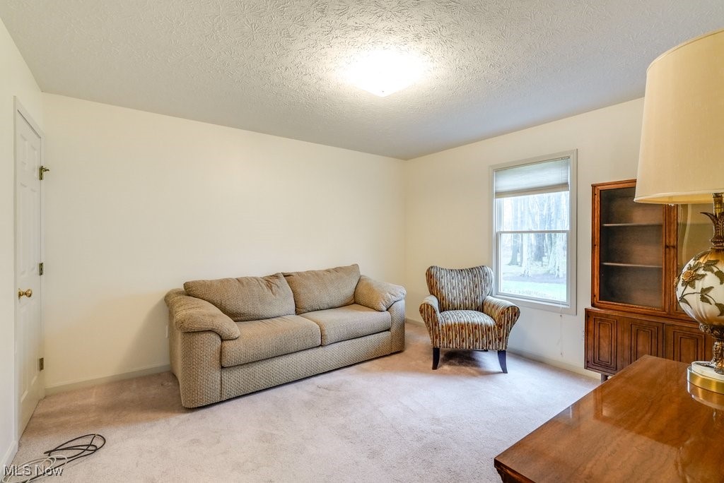 9101 Chamberlin Road, Twinsburg, Ohio image 25