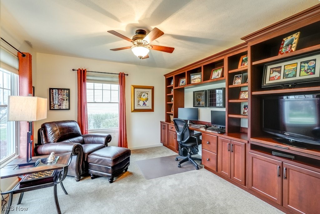 9101 Chamberlin Road, Twinsburg, Ohio image 4