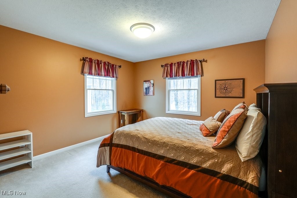 9101 Chamberlin Road, Twinsburg, Ohio image 29