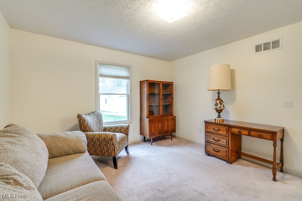 9101 Chamberlin Road, Twinsburg, Ohio image 24
