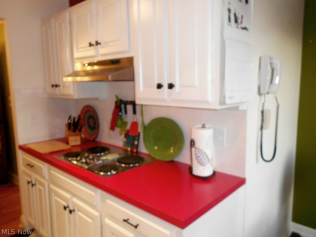 Silver Lake Towers Condo - Residential