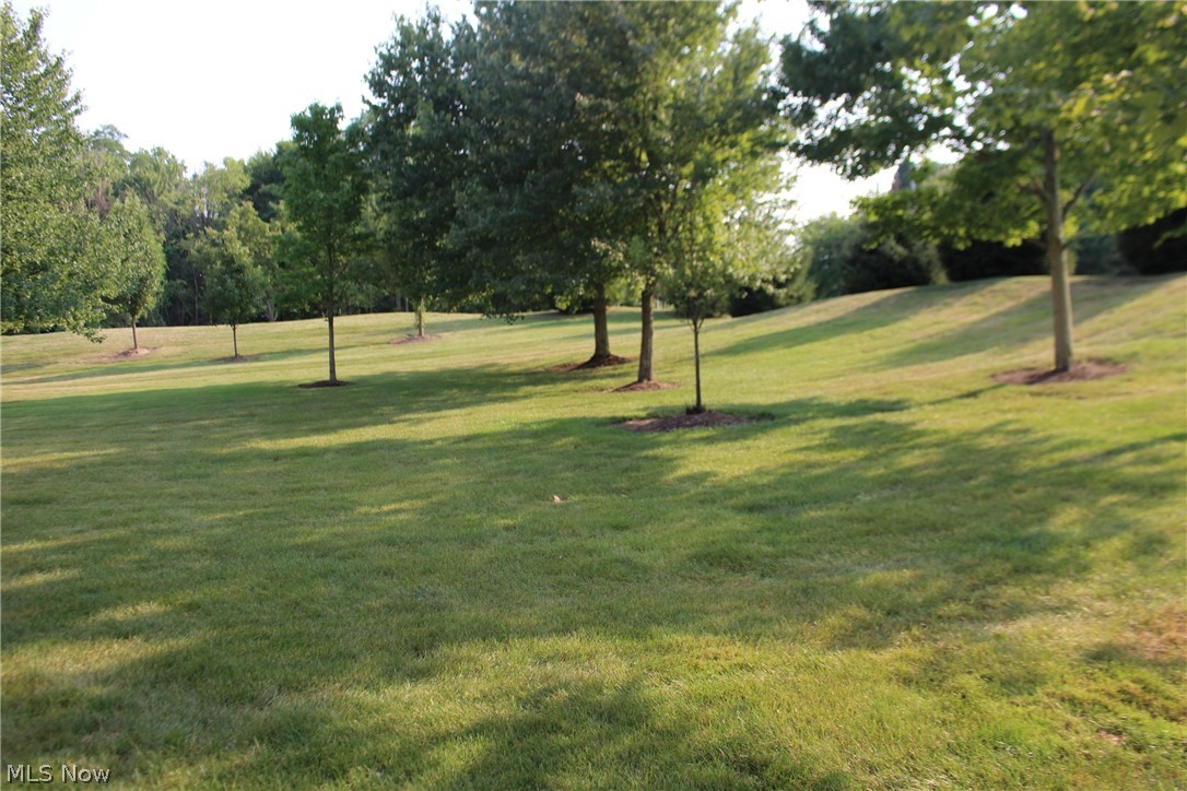 Enclave/Rosemont Rdg Condo Ow - Residential