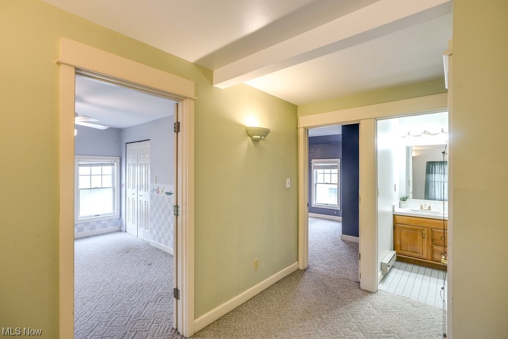 Cooke Allotment - Residential