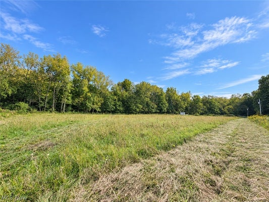 COLGIN RD, HOWARD, OH 43028 - Image 64b99e0c413ef4667d2d3a2fb6b63d72/3330125198