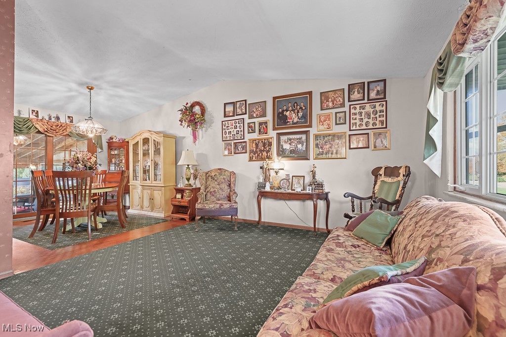 Meadow Allotment - Residential