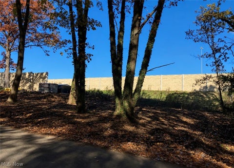 Vacant Land For Sale - 615 Woodview Drive<br/> Akron, OH 44319