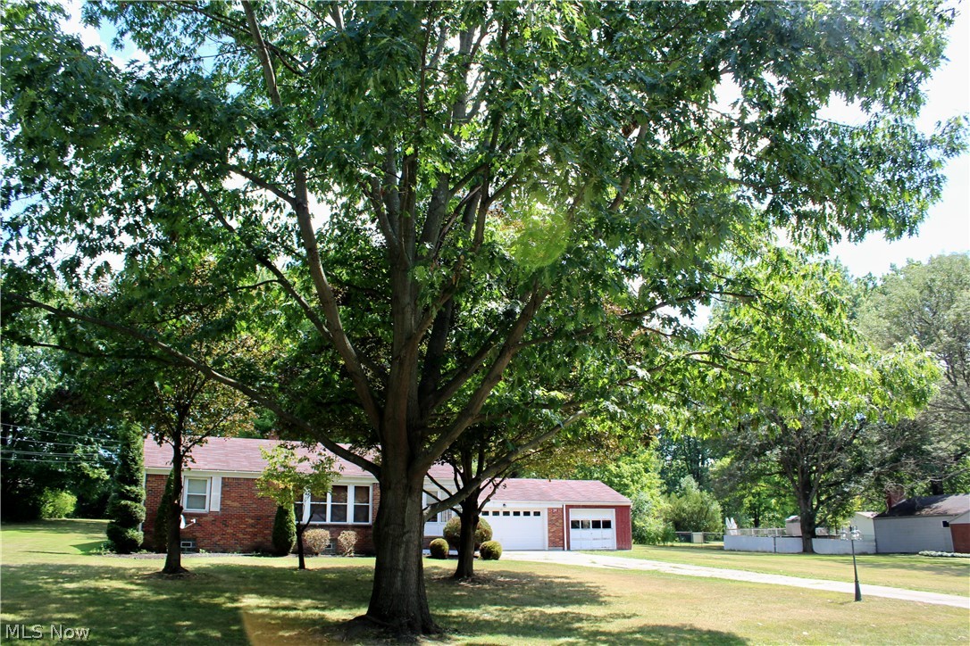 Diciocco 1 - Residential