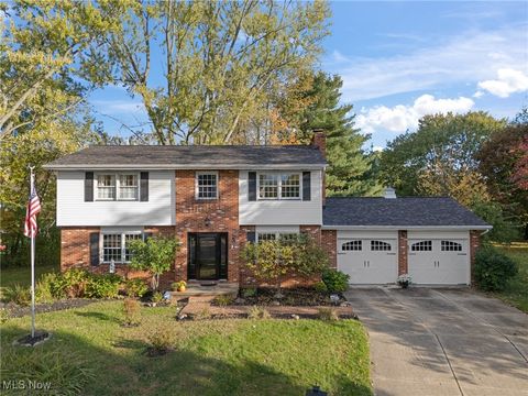 1920 Birk NE Canton OH 44705