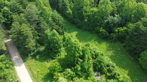 Tiny photo for 0 E Side Hayman Road, Long Bottom, OH 45743 (MLS # 5217117)