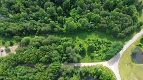 Photo of 0 E Side Hayman Road, Long Bottom, OH 45743 (MLS # 5217117)