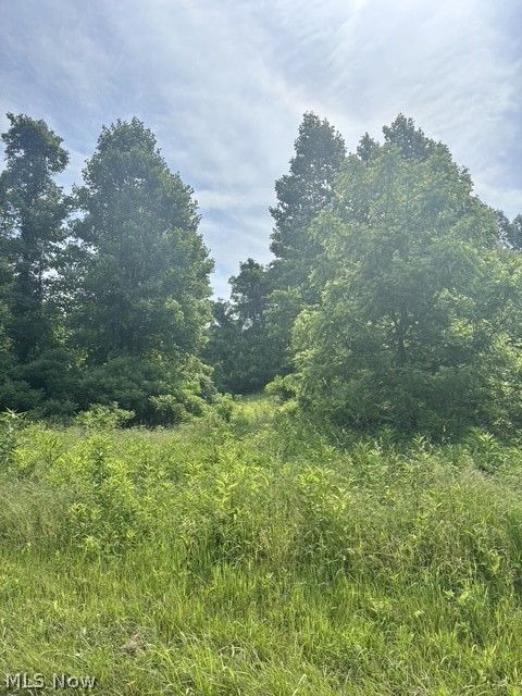 Tiny photo for 0 E Side Hayman Road, Long Bottom, OH 45743 (MLS # 5217117)