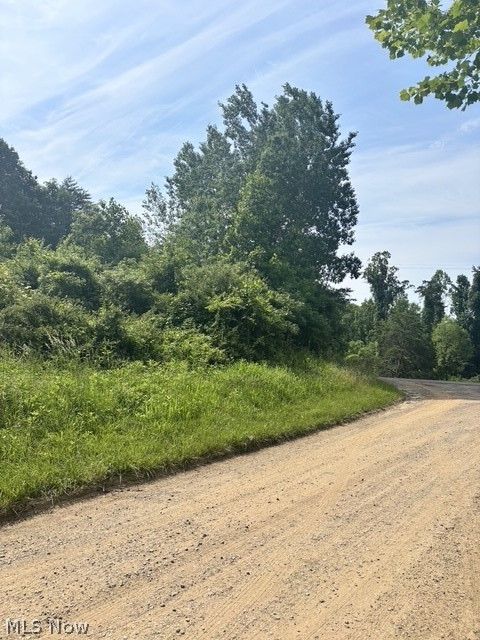 Tiny photo for 0 E Side Hayman Road, Long Bottom, OH 45743 (MLS # 5217117)