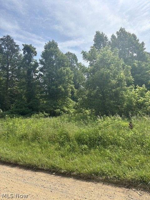 Tiny photo for 0 E Side Hayman Road, Long Bottom, OH 45743 (MLS # 5217117)