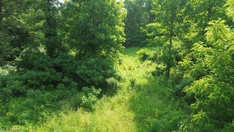 Tiny photo for 0 E Side Hayman Road, Long Bottom, OH 45743 (MLS # 5217117)