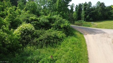 Tiny photo for 0 E Side Hayman Road, Long Bottom, OH 45743 (MLS # 5217117)