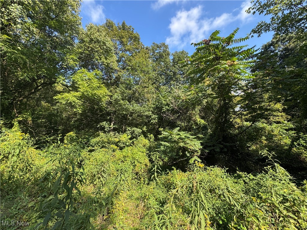 Putnam Drive