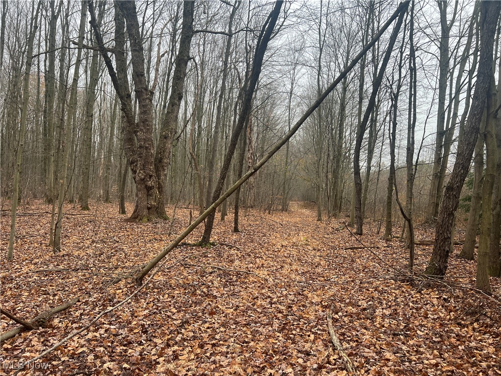 Stanley Road, Windham, Ohio image 11