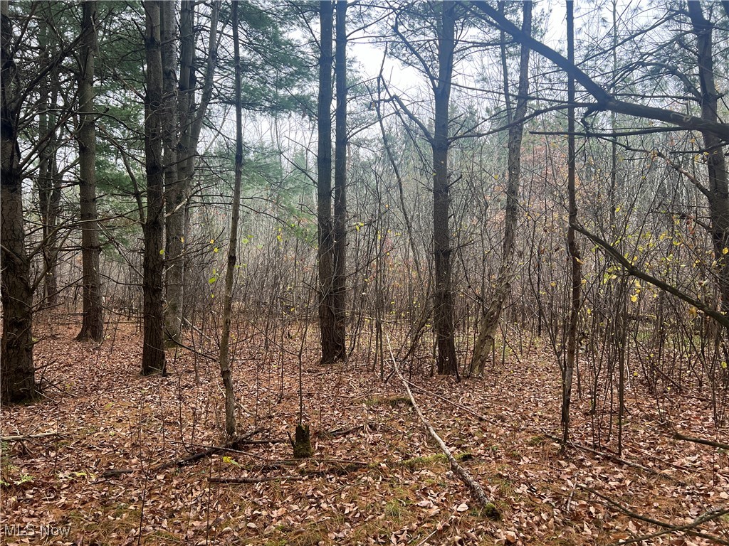 Stanley Road, Windham, Ohio image 4