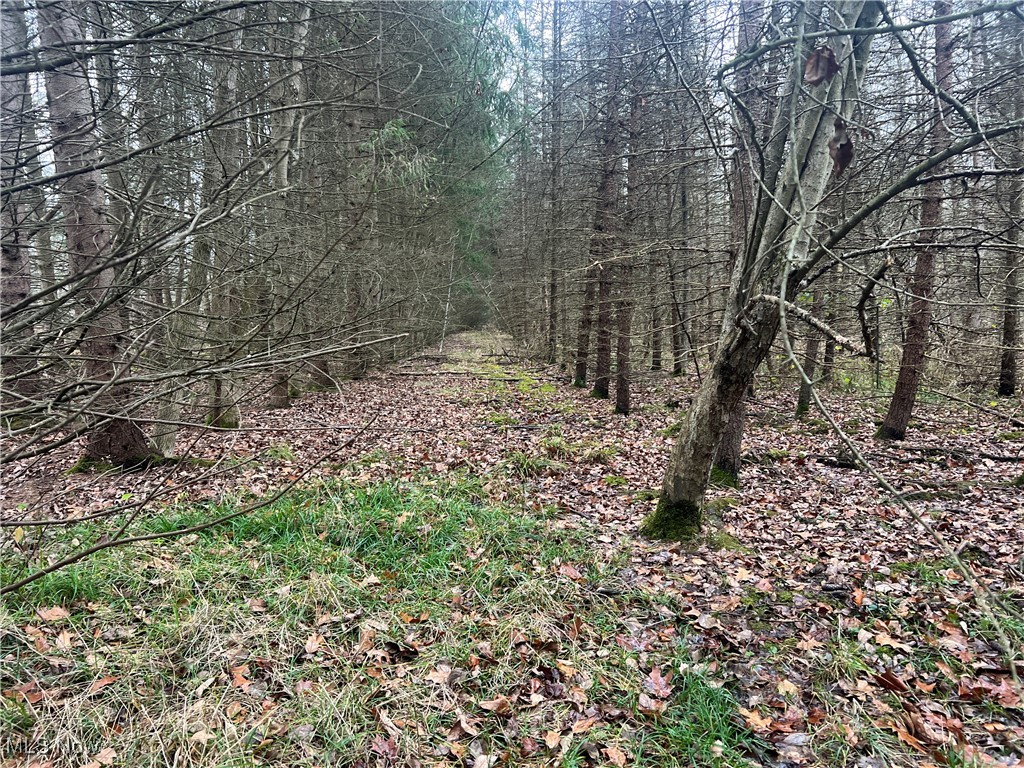 Stanley Road, Windham, Ohio image 1