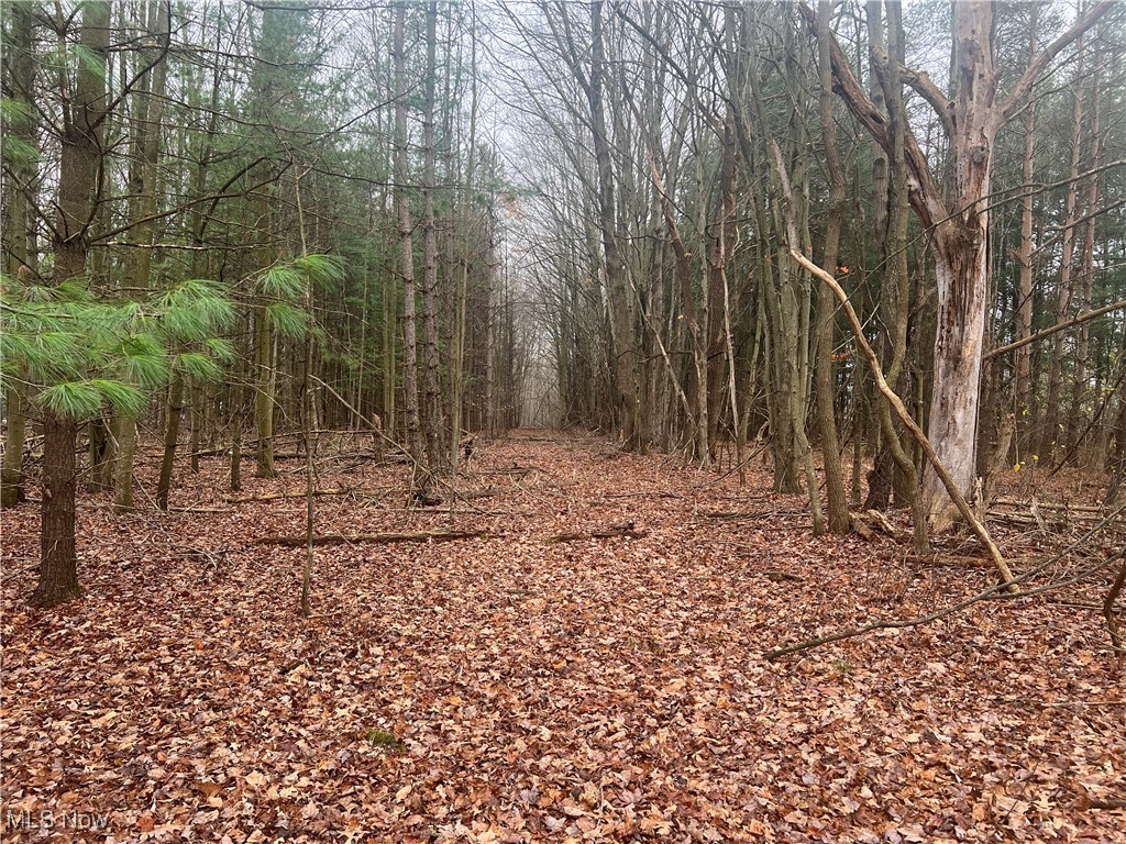 Stanley Road, Windham, Ohio image 9