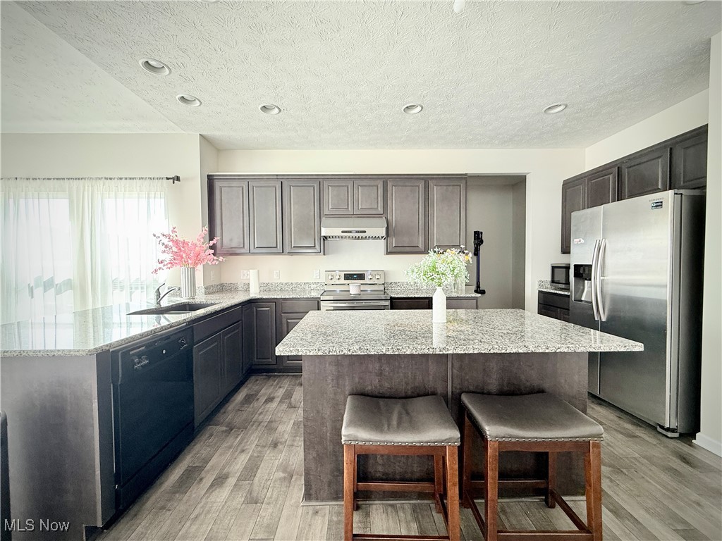 37365 White Feather Ave, North Ridgeville, Ohio image 14