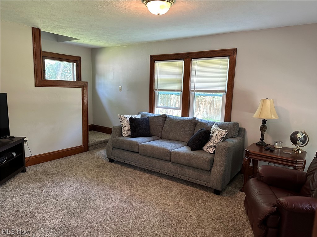 Hoenicka Park - Residential