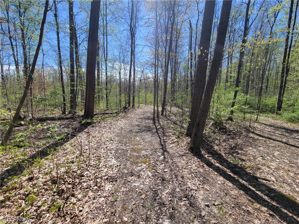 Connecticut Western Reserve - Residential