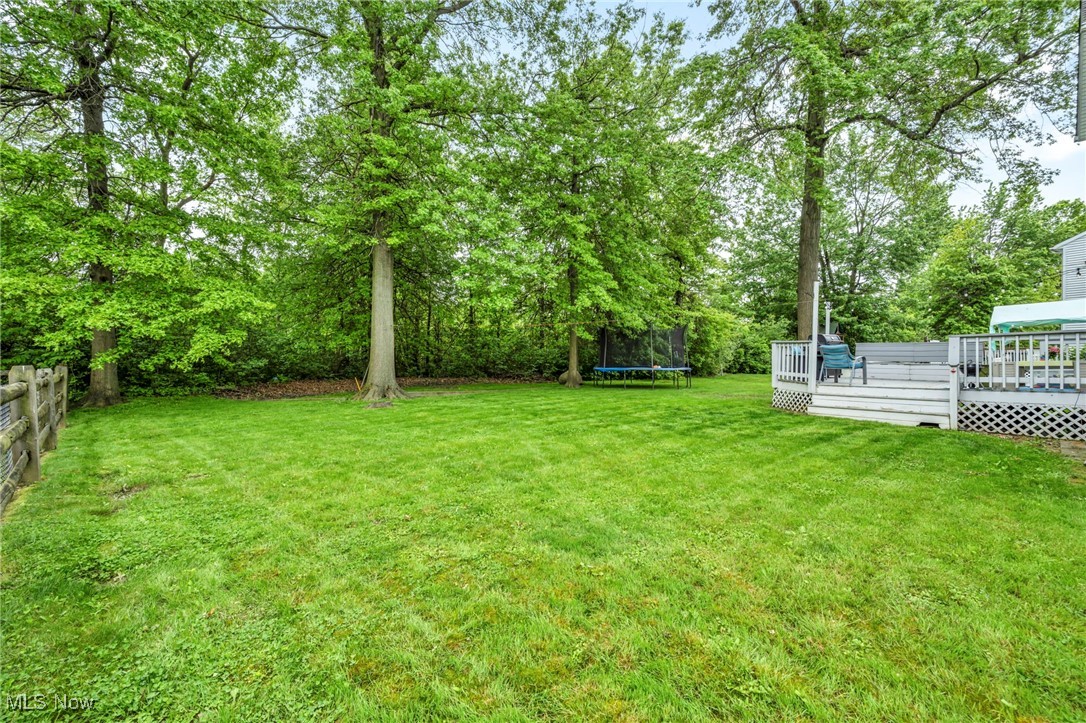 893 Pebble Beach Cove, Painesville, Ohio image 39