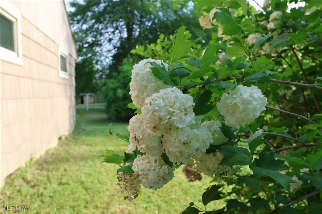 5641 State Route 19, Galion, Ohio image 14